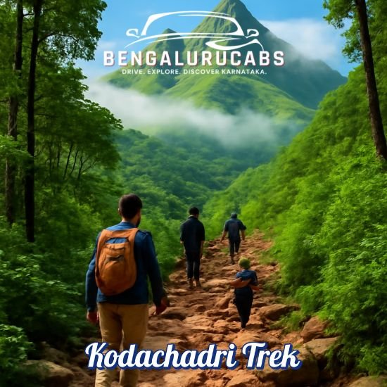 Scenic view of Kodachadri Trek via Valur route with natural landscape and trekkers
